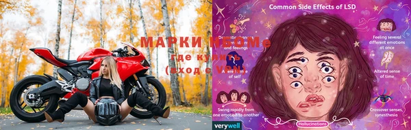 PSILOCYBIN Липки
