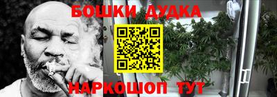 мдпв Абакан