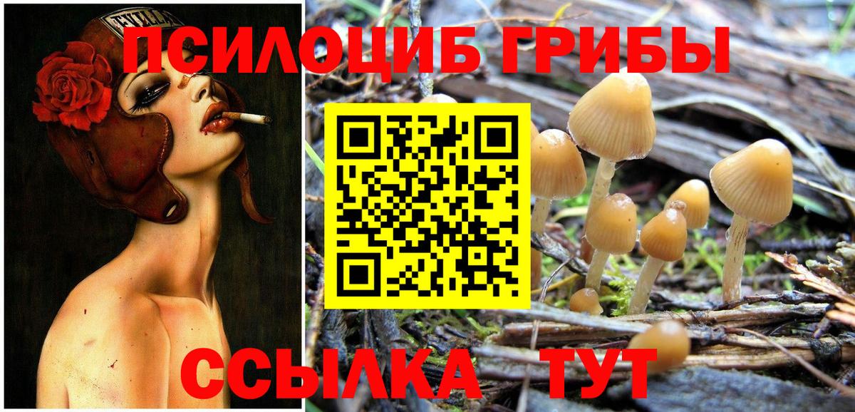 Тайшет  Галлюциногенные грибы прущие грибы  Галлюциногенные грибы мухоморы  Вход с VPN 